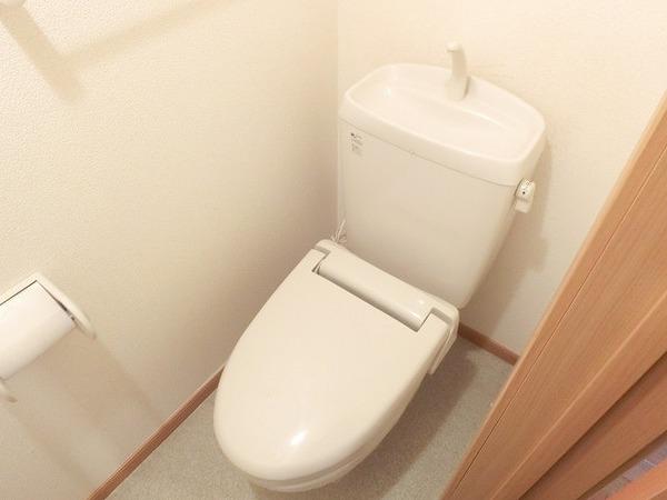 カーサステラ