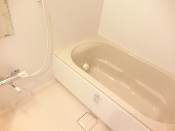 ソフィア上野芝