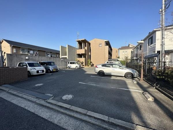 コージーオオトリ