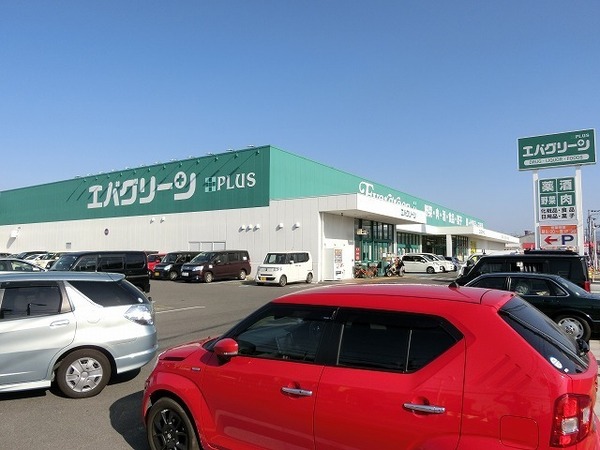 マーヴェラス(エバグリーンプラス和泉芦部店)
