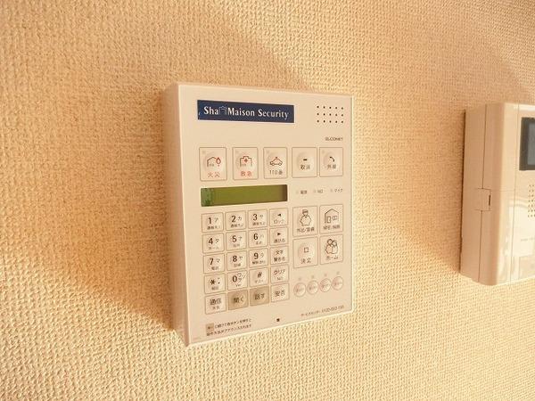 Ｆｅｌｉｓｅｅｄ菩提