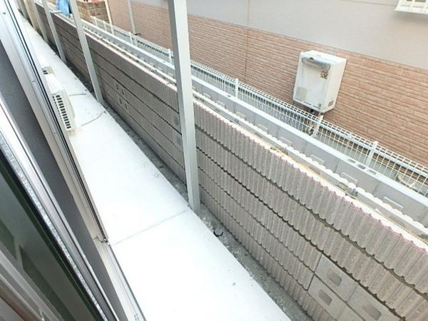 アムール葛の葉