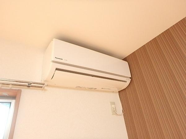 アムール葛の葉