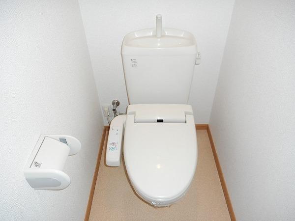 サニーグレイス
