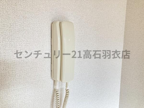 ハートベイル
