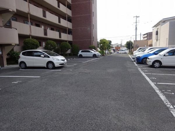 パストラル羽衣