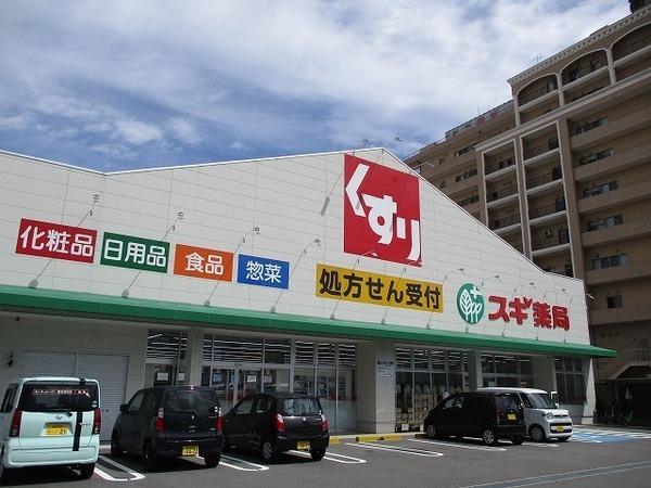 フジパレス聖ヶ丘(スギ薬局高石駅前店)