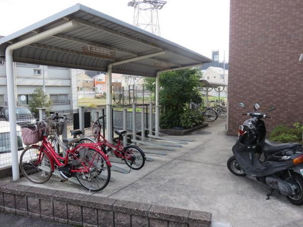エレガンシア金剛