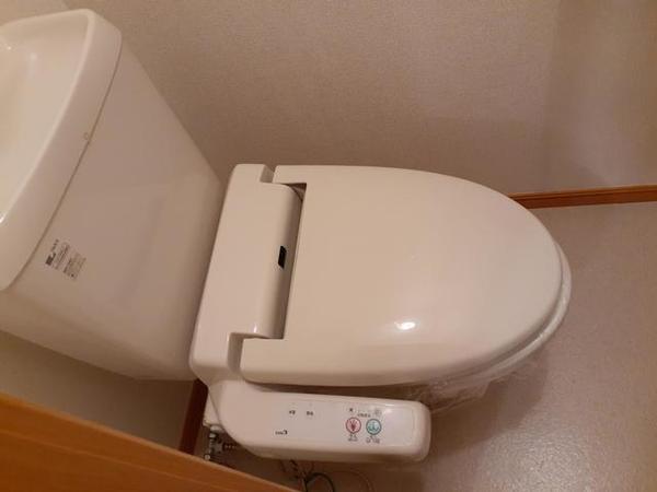 エレガンシア金剛