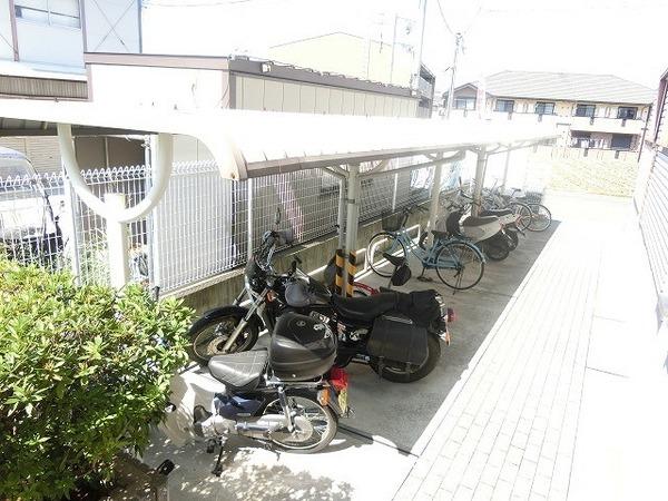 セルバ