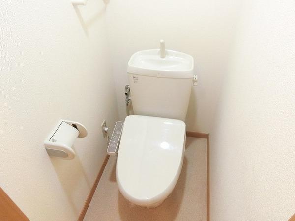 セルバ