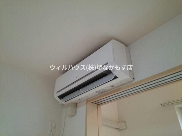 アムール