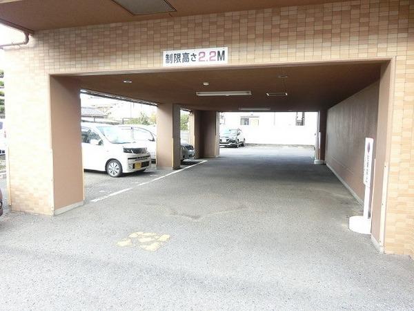 パルテール中もず