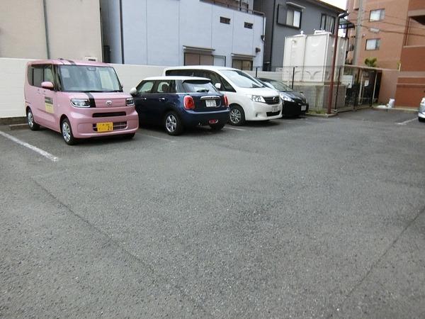 パルテール中もず