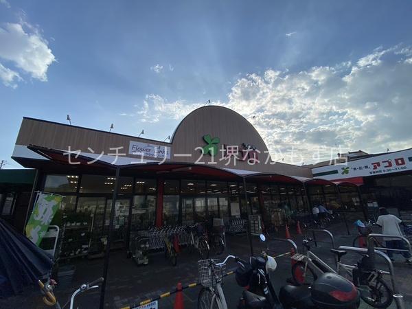 シグナス百舌鳥(食品館アプロもず店)