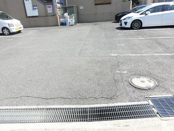 ピソ・キタノ