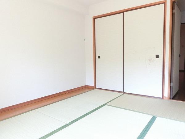 ピソ・キタノ