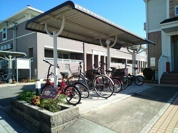 ゴールドクレスト