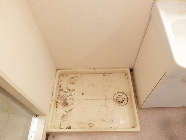 エントピア福泉