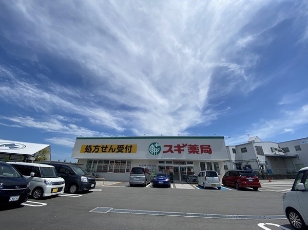 かのん2(スギ薬局土塔町店)