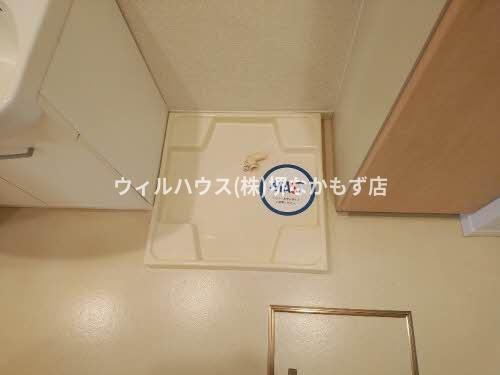 アークグレイス