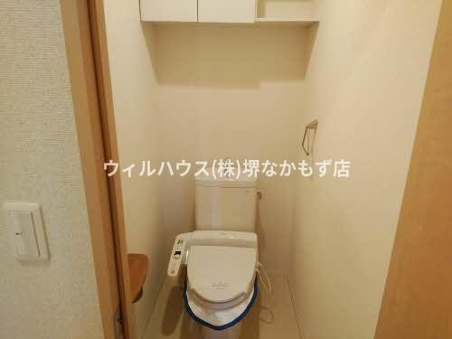 アークグレイス