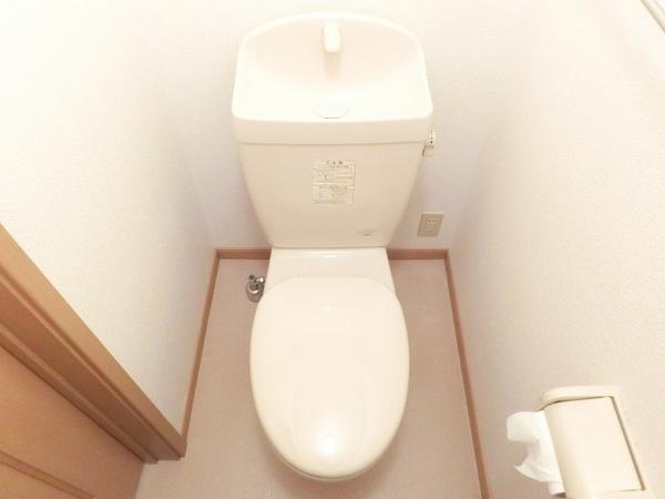 ゴールドクレスト