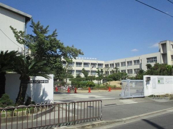 リサ鳳(堺市立福泉上小学校)
