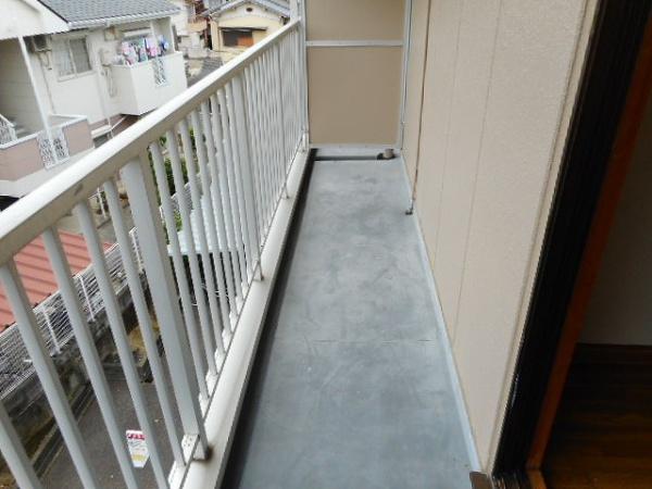バイオレット輝