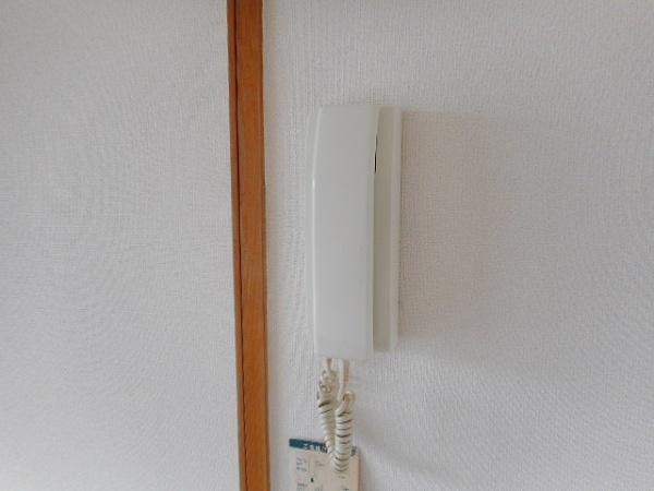 バイオレット輝
