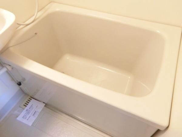 バイオレット輝