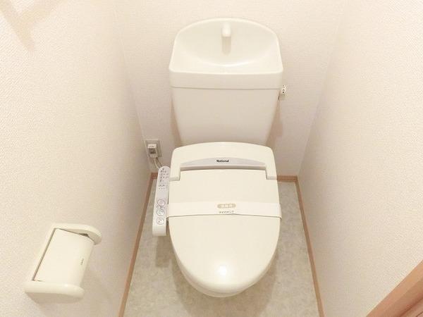 コージィーコート