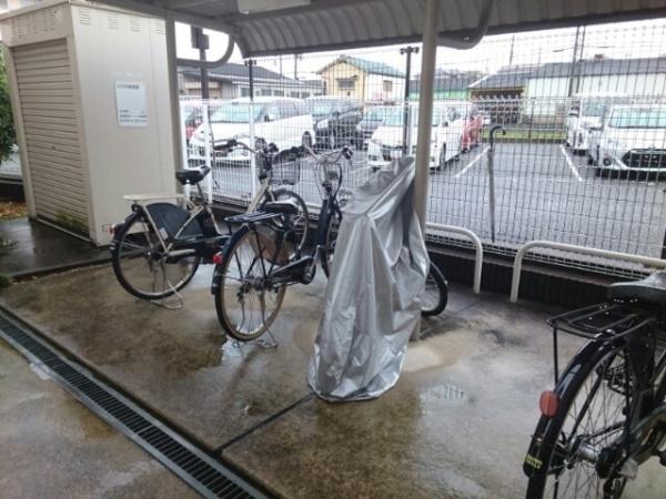 シャロルエヌ