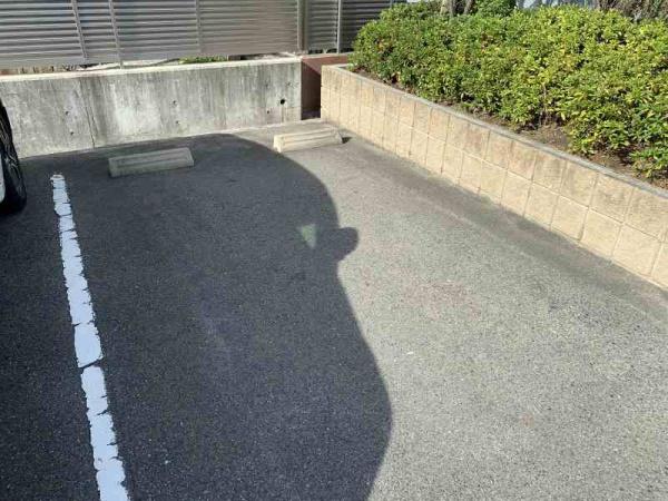 ボナールＤ．Ｋ