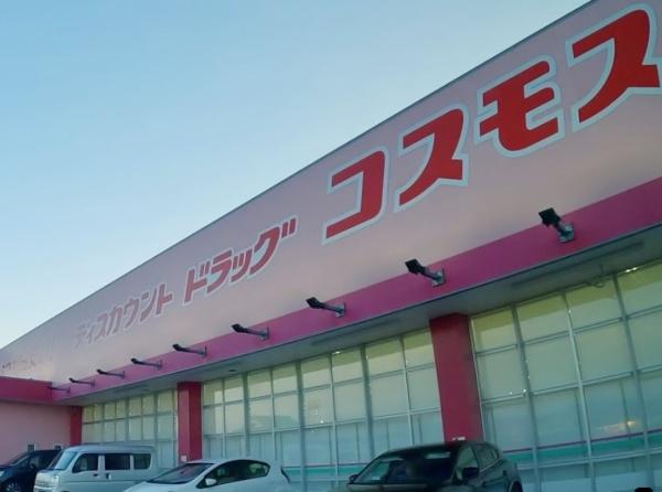 ジュネス リアン2(ディスカウントドラッグコスモス美原平尾店)