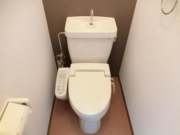 シャトレマウントリバー