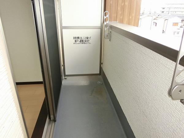 サニーヒル白鷺