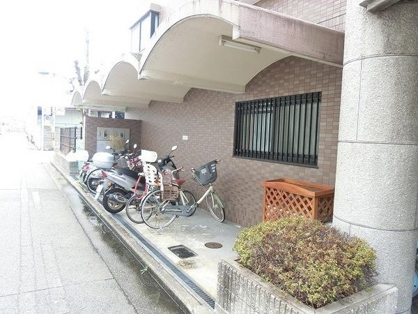 コートグレース