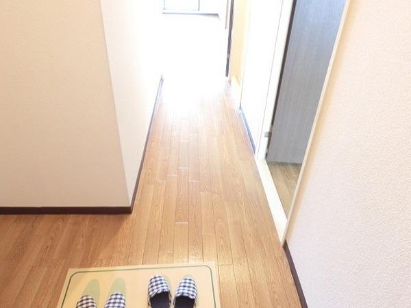 コートグレース