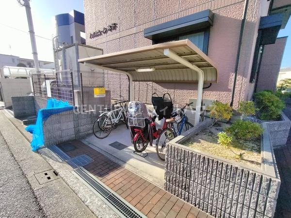 ハイカムール木下