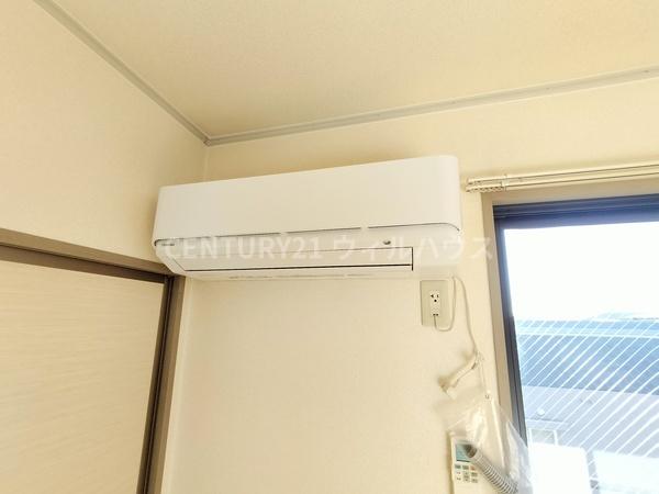 ハイカムール木下