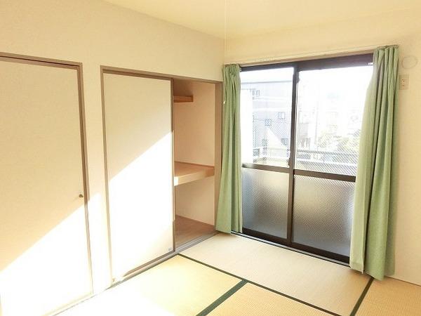 ハイカムール木下