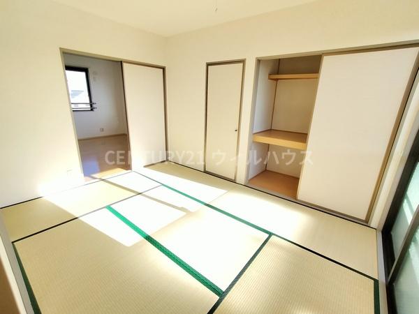 ハイカムール木下