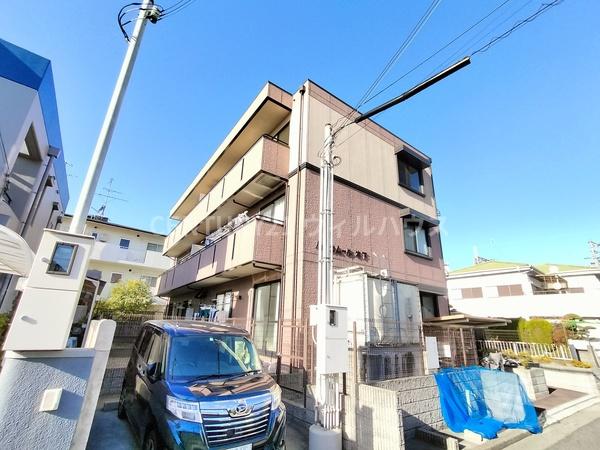 ハイカムール木下