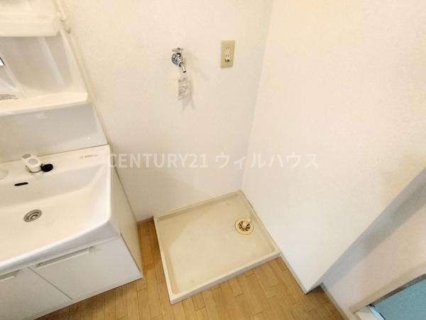 ハイカムール木下