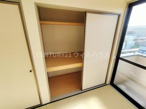ハイカムール木下