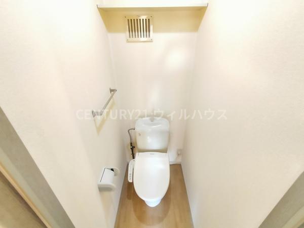 ハイカムール木下