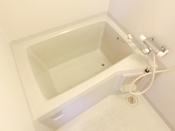 タウニィーイシヅ