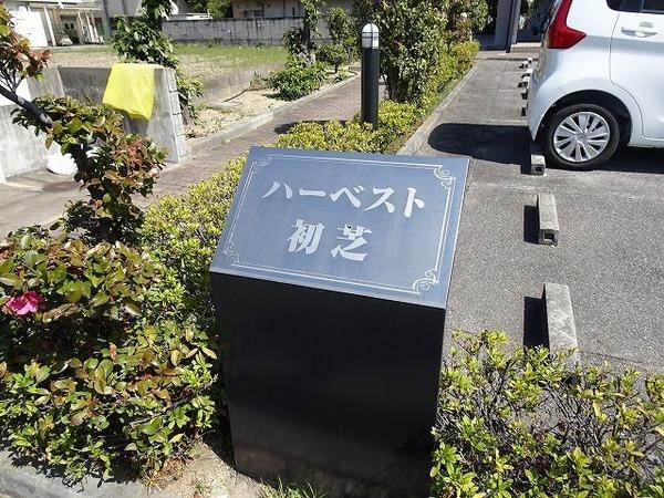 ハーベスト初芝