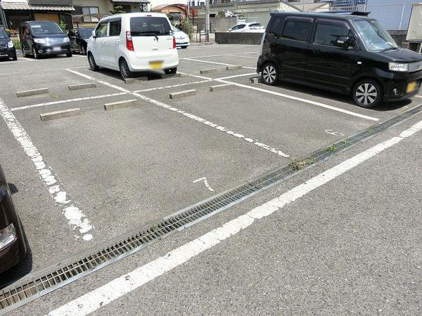 アミール西野